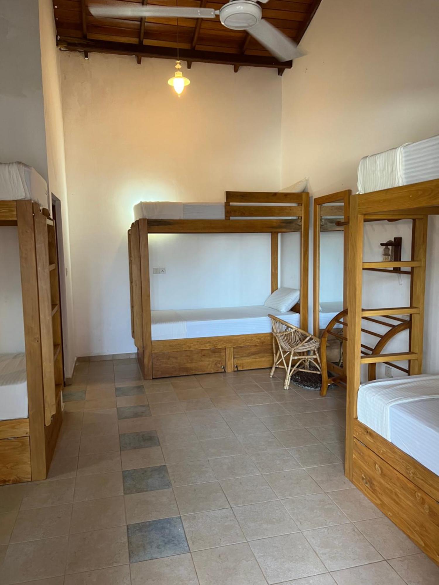 Hummus Hostel Hikkaduwa Exteriér fotografie